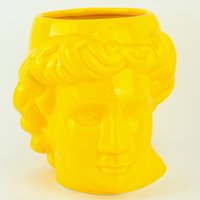 Кружка Darvish Голова Давида DV-H-1328Y (желтый)