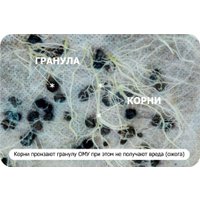 Удобрение Буйские удобрения Ому весеннее (1 кг)