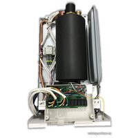 Отопительный котел Thermex Quantum E906