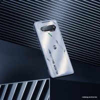 Телефон Xiaomi Black Shark 4S Pro 16GB/512GB (белый)