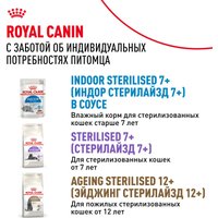 Консервированный корм для кошек Royal Canin Indoor Sterilised 7+ in Jelly кусочки в желе 12x85 г