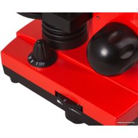 Детский микроскоп Levenhuk Rainbow 2L (апельсин) 69039