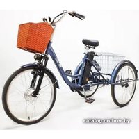 Электровелосипед GreenCamel Trike-24 R24 (250W 48V 15Ah, синий)