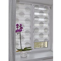 Рулонные шторы Delfa Сантайм День-Ночь Декор МКД DN-44802 (34x160, крем/серебристый)