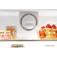 Комбинация side by side Liebherr SBSes 7353