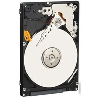 Жесткий диск WD Blue 320GB [WD3200LPCX]