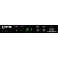 Радиосистема Shure BLX24E/PG58-M17