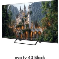 Телевизор Evo TV 43 Black TD0051752RU