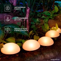 Садовая гирлянда Rexant Полусфера 602-2434