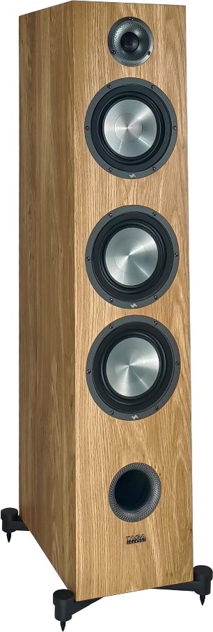 

Напольная акустика Taga Harmony Platinum F-100 v.4 (дуб)