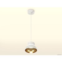 Подвесная люстра Ambrella light Techno spot XP8110051 SWH/PYG/CL