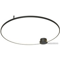 Припотолочная люстра Lussole Lowell LSP-7110