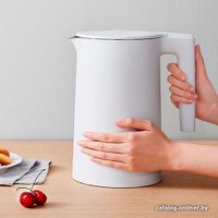 Электрический чайник Xiaomi Electric Kettle 2 MJDSH04YM (европейская вилка)
