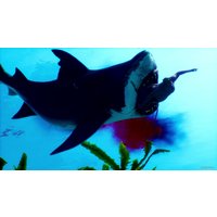  Maneater для PlayStation 5