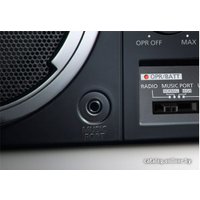 Радиоприемник Panasonic RF-800UEE1-K