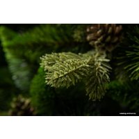 Сосна GreenTerra Рапсодия зеленая 2.2 м