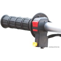 Мотоцикл IRBIS TTR 110