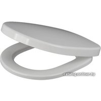 Сиденье для унитаза IDDIS Calipso CALDPSEi31