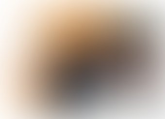 Shunga Honey of the Nypmphs мед 3003 (228 г)