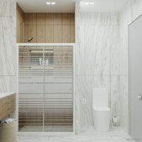 Душевая дверь Triton Слайд 100