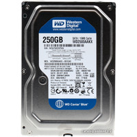 Жесткий диск WD Caviar Blue 250GB (WD2500AAKX)