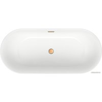 Ванна Wellsee Chic Riviera 170x76 236802004 (отдельностоящая ванна белый глянец, экран, ножки, сифон-автомат золото)