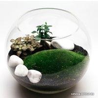 Флорариум Home Garden Шар