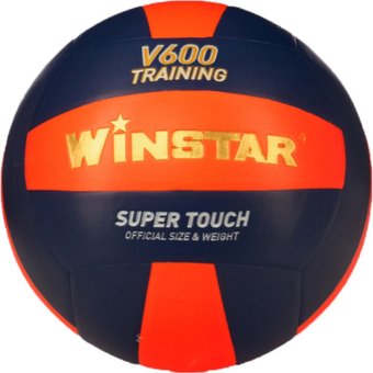 Волейбольный мяч Winstar WN11014 (5 размер)