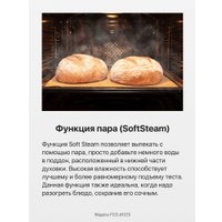 Кухонная плита Hansa FCCL69225