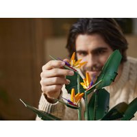 Конструктор LEGO Creator Expert 10289 Райская птица