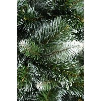 Ель Erbis Anna с белыми кончиками 150