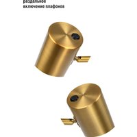 Торшер ArtStyle НТ-756x2BRS