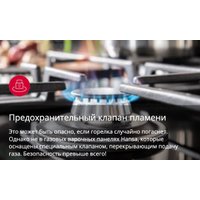 Кухонная плита Hansa FCMX58259