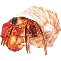 Конструктор Makebug Bring Nature Home Рак-отшельник MB-B-0008