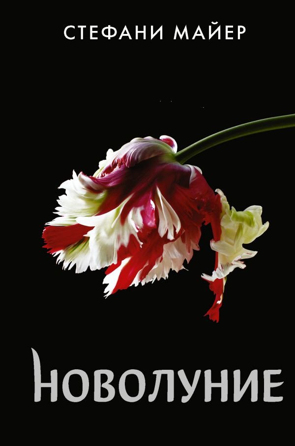 

Книга издательства АСТ. Новолуние. Новое оформление (Майер С.)