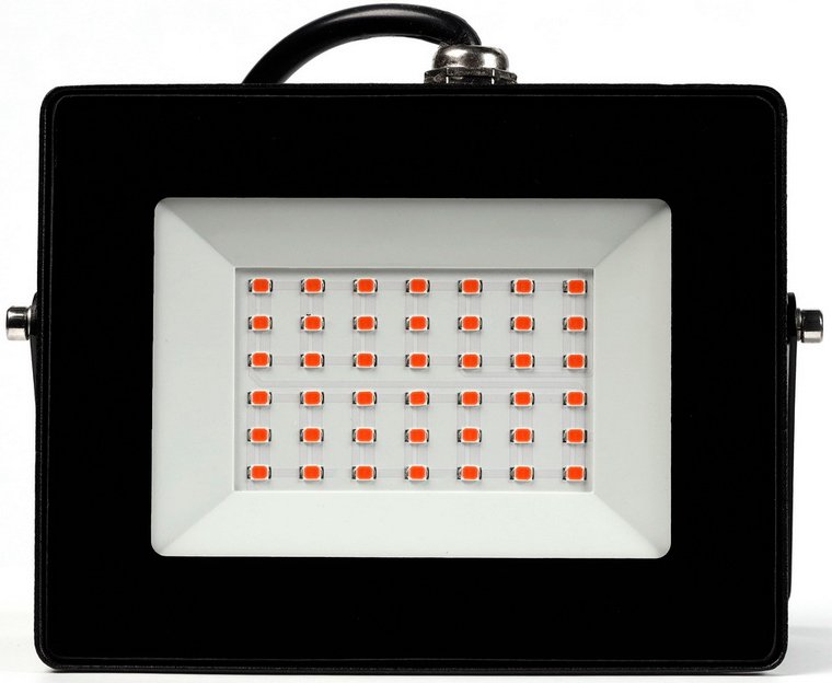 

Лампа для растений SmartBuy SBL-FLFITO-30-65K