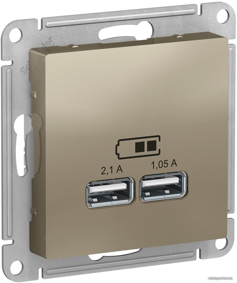 Розетка USB Schneider Electric Atlas Design ATN000533