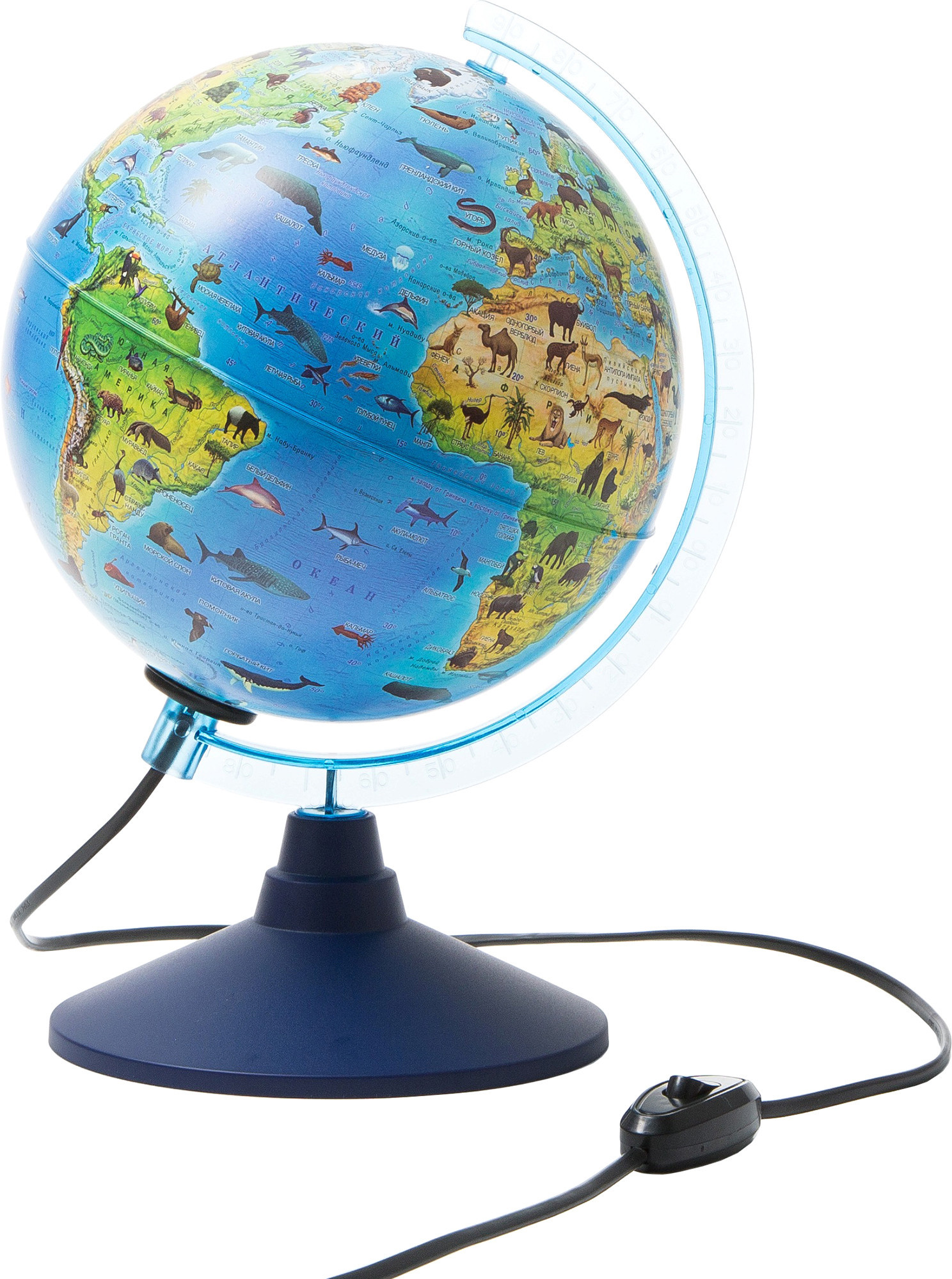 

Школьный глобус Globen Зоогеографический с подсветкой Ке012100208