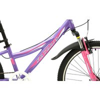 Велосипед Favorit Space 24 V (фиолетовый, 2018)