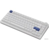 Клавиатура Akko PC75B Plus White & Blue (Akko CS Jelly Black)