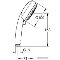 Душевая лейка Grohe New Tempesta Cosmopolitan 100 27574002