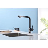 Смеситель Paulmark Viper VI213105-GB (черный/черный глянцевый)