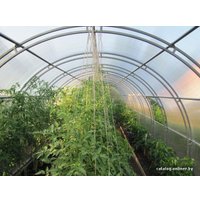 Теплица ComfortProm двойная дуга 2x20x20/0.67 12x3 м (поликарбонат 3 мм)