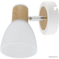 Бра TDM Electric SQ0356-0001