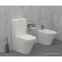 Унитаз напольный Jacob Delafon Rodin+ UJAB102-00 (без бачка, без сиденья)