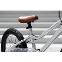 Детский велосипед Lenjoy Sports Silver Ghost 18 LS18-13S (серый)