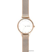 Наручные часы Skagen Anita SKW2749