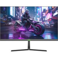 Игровой монитор ELSA EA241S Pro в Бресте