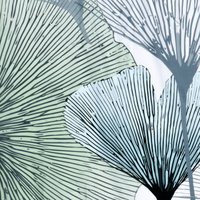 Шторка-занавеска для ванны Wasserkraft Rhein SC-62102