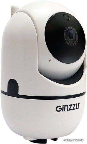 IP-камера Ginzzu HWD-2302A
